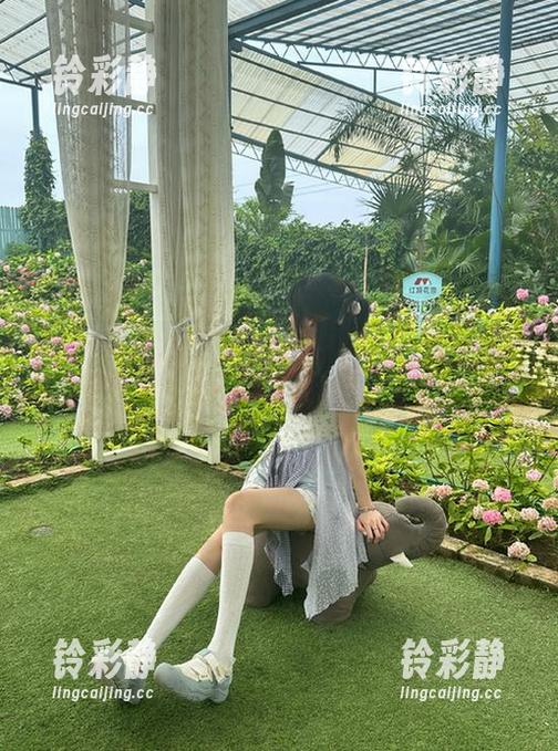 资源太丰富，166.su成了我的“吃瓜图书馆”！