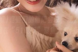 婆婆们的朝阳会议，观看她们如何在“51吃瓜”聚焦大事件！