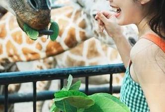 啊！又是“吃瓜导航”推荐的精彩集锦，快收藏起来不怕丢！