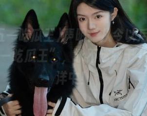 声明：从今以后跟着“我爱五一吃瓜王”，永不迷路于八卦的海洋中！