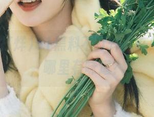 51黑料不打烊，在线求推荐，哪里有味道？