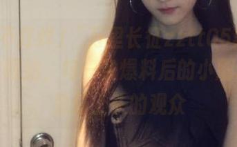 “万里长征zztt05黑料不打烊”网站，每一条爆料后的小剧场，我是最上头的观众