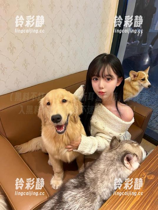 冲哥的折耳鱼秘籍，带你走入黑料不打烊，永不迷路的水面下！