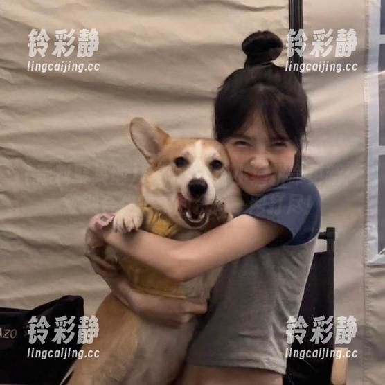 黑料聚集地小编拼命更新：欲迎合你需求的资源一网打尽！